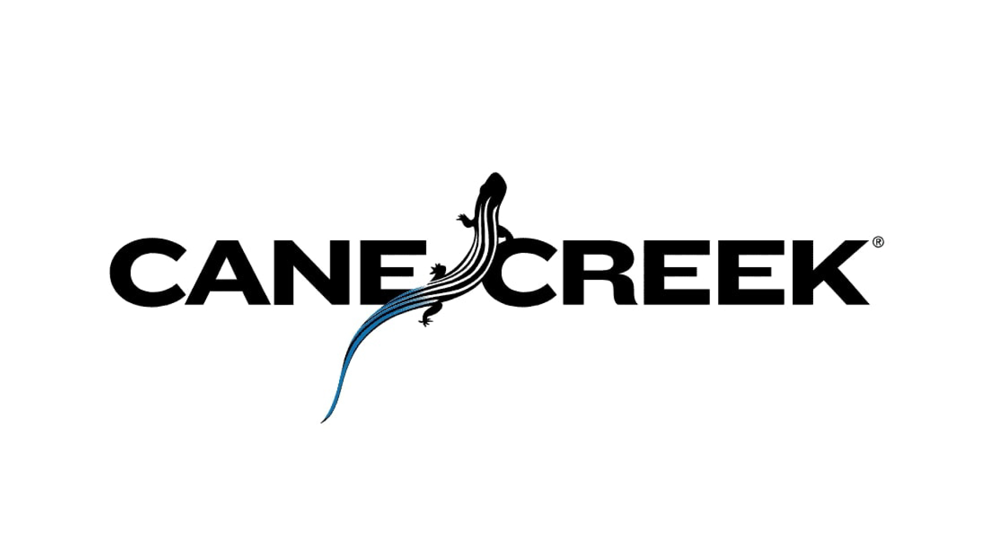 Cane Creek解体新書：革新を止めない、ノースカロライナの魂。母体はダイアコンペ！A-Headの開発、「ee」というハイエンドモデルの成り立ちとそのこだわりを徹底解説。